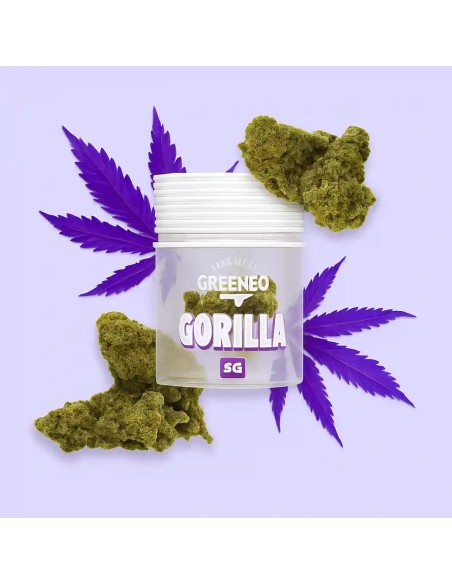 Greeneo brand Gorilla 8% CBD flower jar, 5g