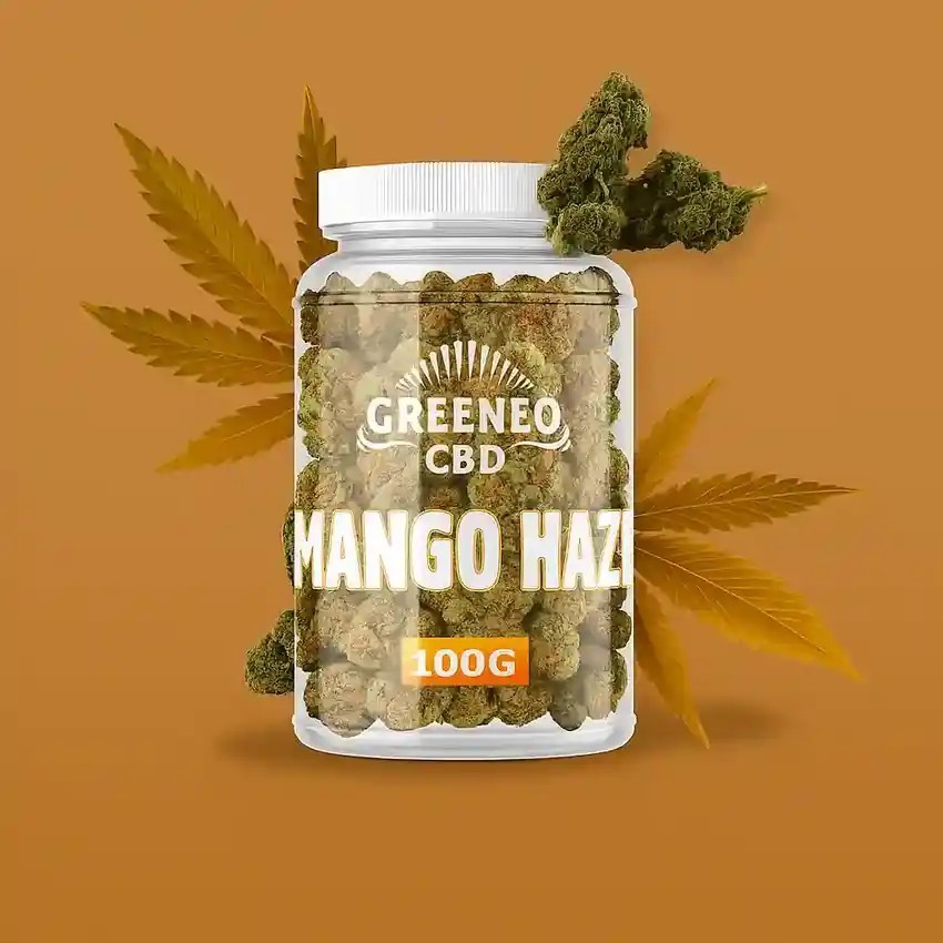 Fleurs de CBD 100g Mango Haze 6% de la marque Greeneo