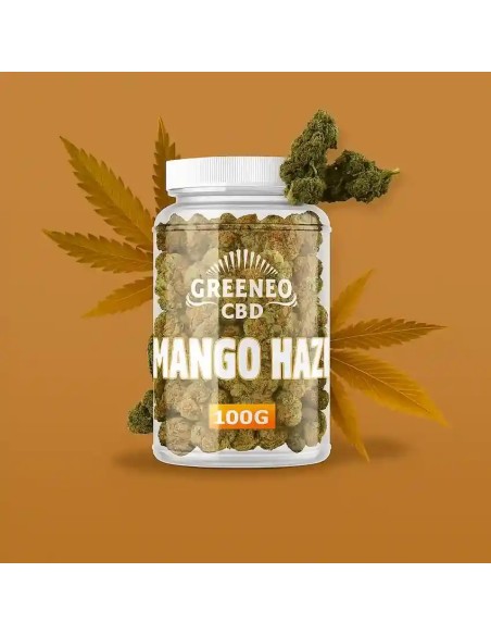 Fleurs de CBD 100g Mango Haze 6% de la marque Greeneo