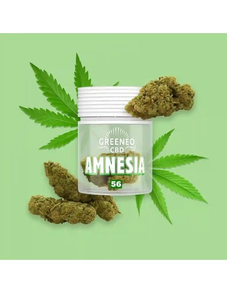 Fleur de CBD amnesia 13% de la marque Greeneo