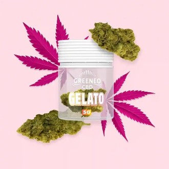 Greeneo brand CBD Gelato flowers 12% in a 5g jar