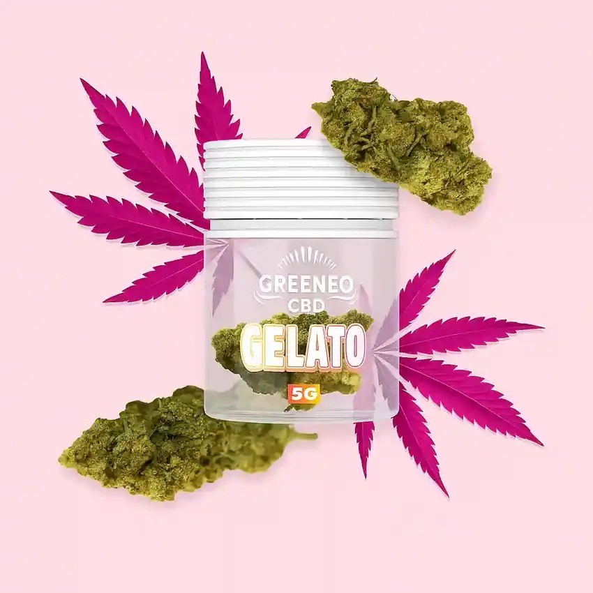 Fleurs de CBD Gelato 12% en pot de 5g de la marque Greeneo