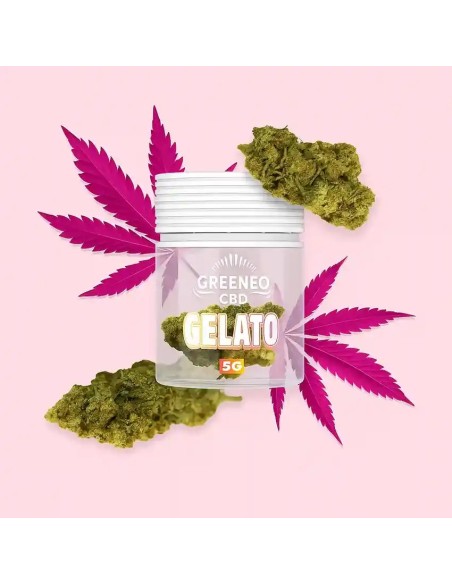 Fleurs de CBD Gelato 12% en pot de 5g de la marque Greeneo
