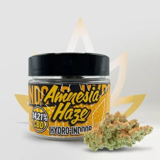 Amnesia Haze CBD Flower 14.21% from CBD First in a jar