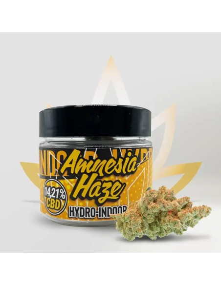 Fleur de CBD Amnesia Haze 14,21% de la marque CBD First en pot