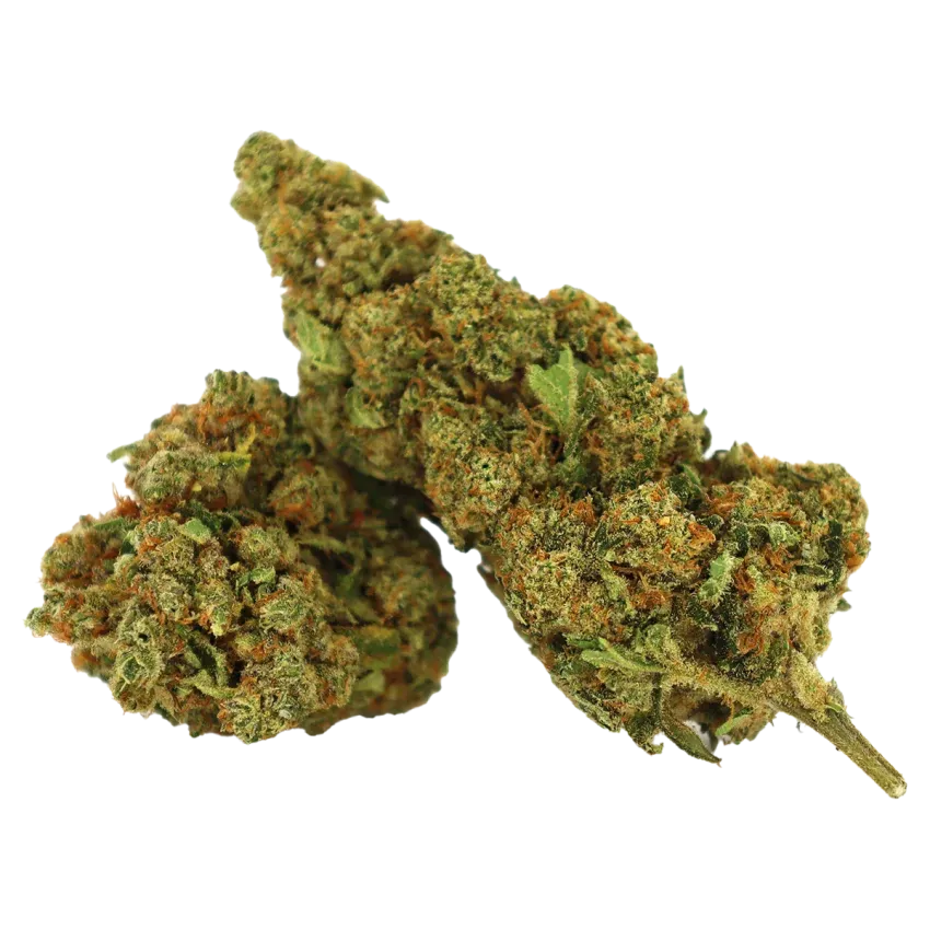 fleurs de CBD Hawaiian Rain de Cookies en 1 gramme