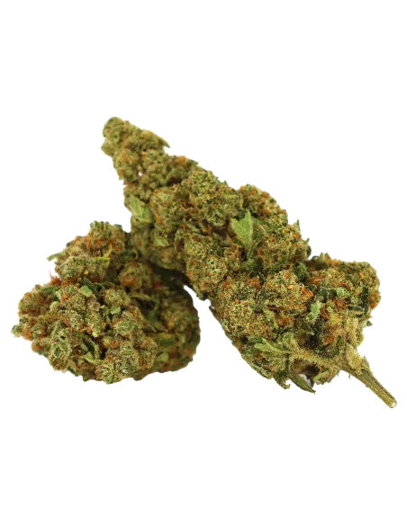 fleurs de CBD Hawaiian Rain de Cookies en 1 gramme