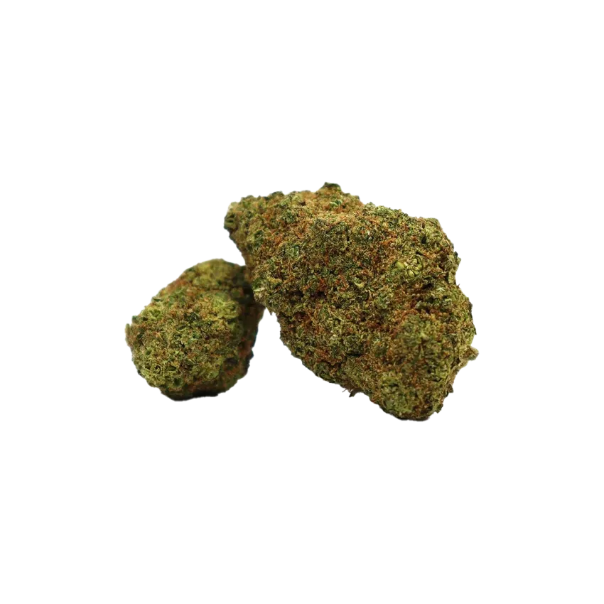 fleurs de CBD Hollywood de Cookies en 1 gramme