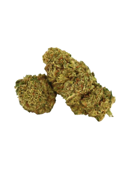 fleurs de CBD Long Island de Cookies en 1 gramme