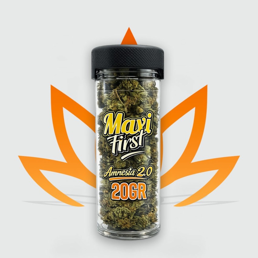 20g jar of Amnesia 2.0 CBD flowers from the Maxi First range by CBD First