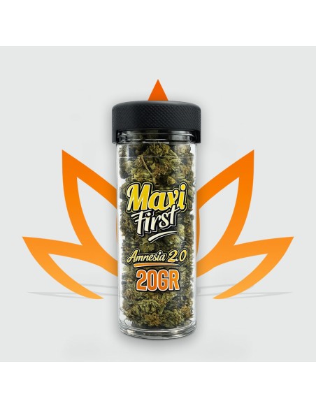 20g jar of Amnesia 2.0 CBD flowers from the Maxi First range by CBD First