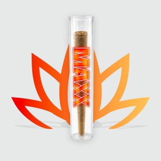 CBD First brand MAXX pre-rolls