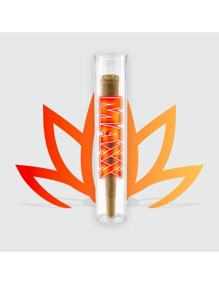 CBD First brand MAXX pre-rolls