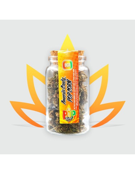 CBD Fleur - Amnesia Candy 12%