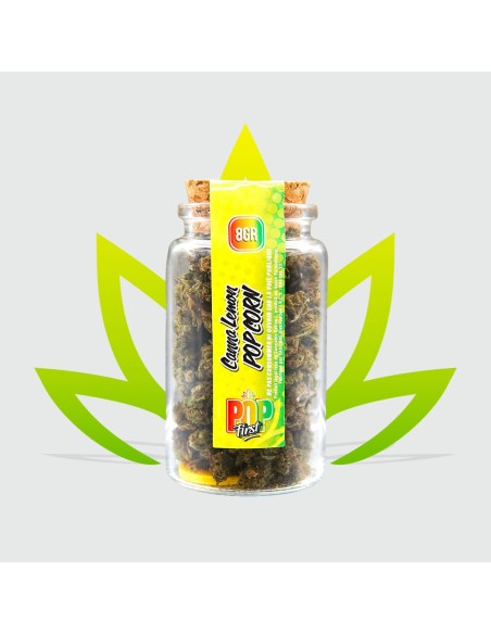Canna Lemon 12% - 8g - Pop First - Fleurs de CBD
