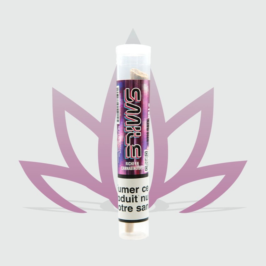 Nouveau format Pre-roll de CBD Smile de la marque CBD First