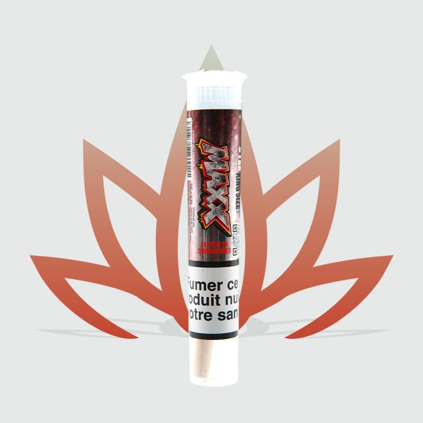 Pre-roll de CBD MAXX de la marque CBD First nouveau format