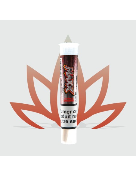Pre-roll de CBD MAXX de la marque CBD First nouveau format