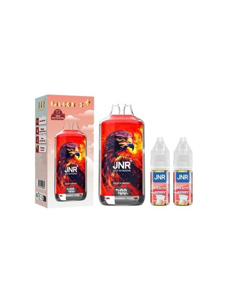 Puff Fruit des Bois Pêche JNR Falcon X 28000