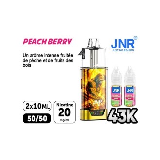 JNR Gorilla X Fruits des Bois 43000 Puffs | Travers Shop