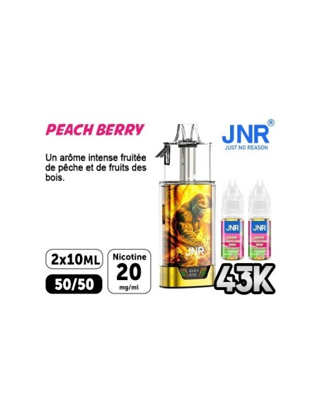 JNR Gorilla X Fruits des Bois 43000 Puffs | Travers Shop