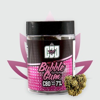 Nouveau Format - Fleur de CBD Bubble Gum 6,58% de la marque CBD First en pot