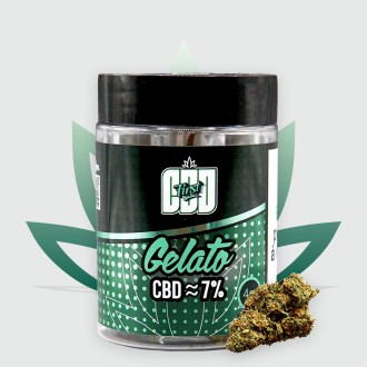 Nouveau Format - Fleur de CBD Gelato 6,79% de la marque CBD First en pot