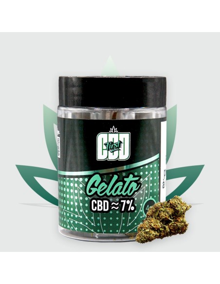 Nouveau Format - Fleur de CBD Gelato 6,79% de la marque CBD First en pot