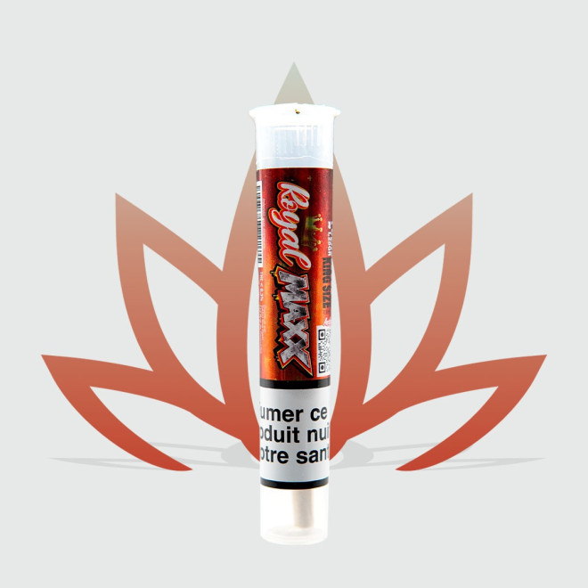 Découvrez le pre-roll Royal Maxx de CBD First