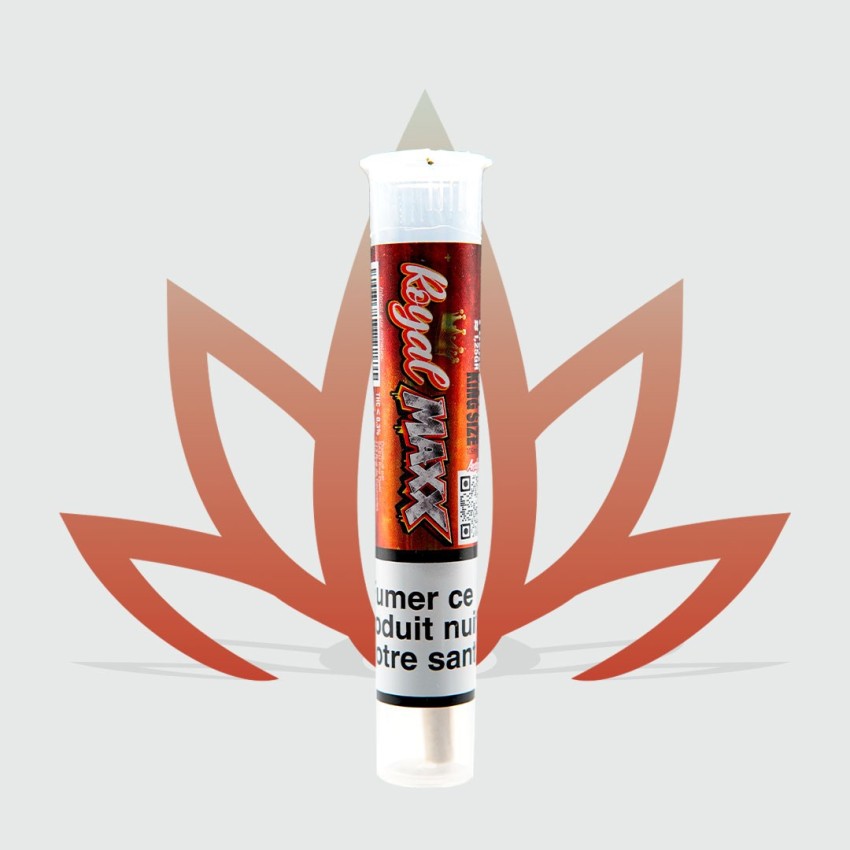 Découvrez le pre-roll Royal Maxx de CBD First