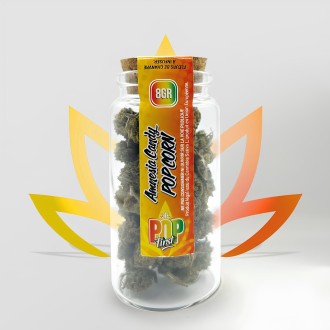 CBD Flower - Amnesia Candy 12%