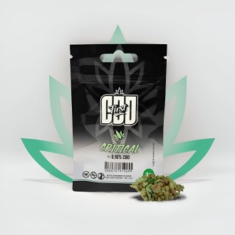 CBD Flower - Critical 6,16%