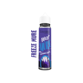 Achat Freezee Mure 50 ML - Liquideo | E-liquides | Travers-Shop