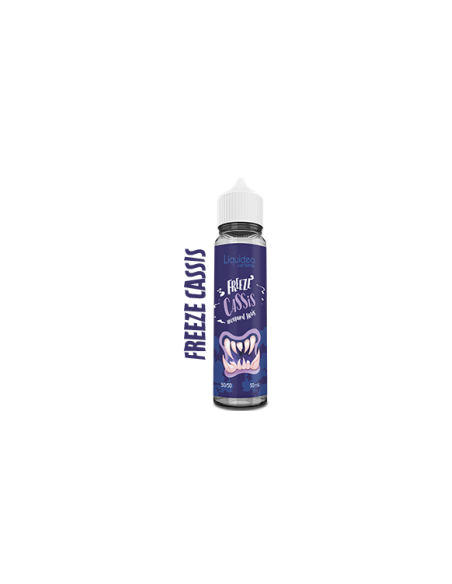 Purchase Blackcurrant Freezee 50 ML - Liquideo | E-liquids | Travers-Shop