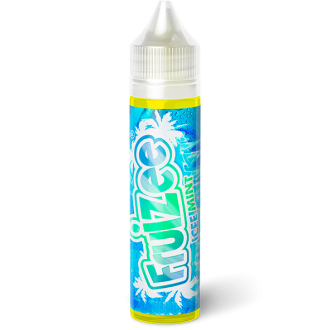 Purchase Icee Mint 50 ml - E-liquid France | E-liquids | Travers-Shop