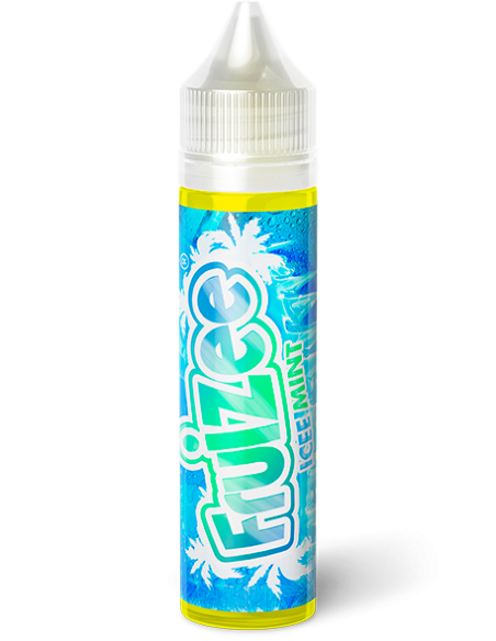 Purchase Icee Mint 50 ml - E-liquid France | E-liquids | Travers-Shop