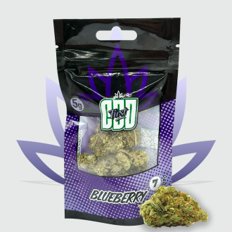 Purchase Blue Berry 7,08% | CBD Flowers | Travers-Shop
