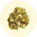 Powerful CBD flowers