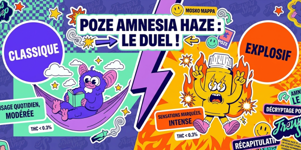 Poze Amnesia Haze ou Explosif : quelle différence ?