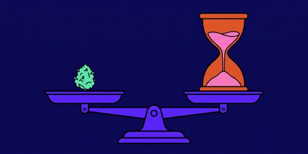 Première fleur très puissante : le guide