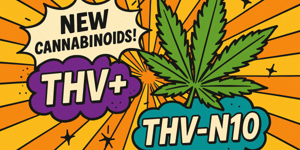 Explosive Recap: THV+ and THV-N10