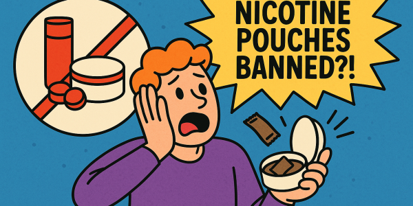 Official Journal: The Ban on Nicotine Pouches and Gums is Coming