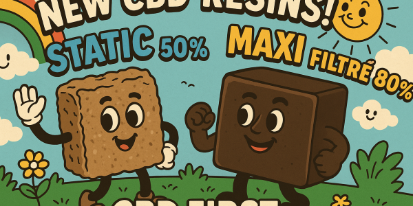 CBD First expands its Signature Range with two new gems: Static 50% and Maxi Filtré 80%