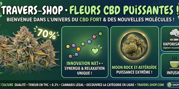 the world of potent CBD flowers at Travers-Shop
