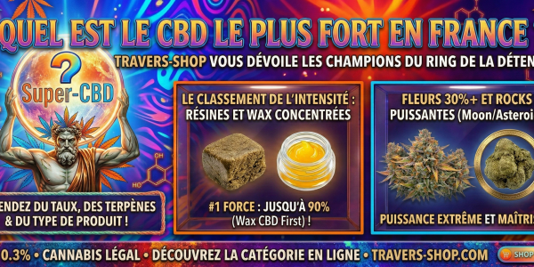 What is the strongest CBD in France?