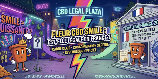 CBD Smile flower: is it legal in France?