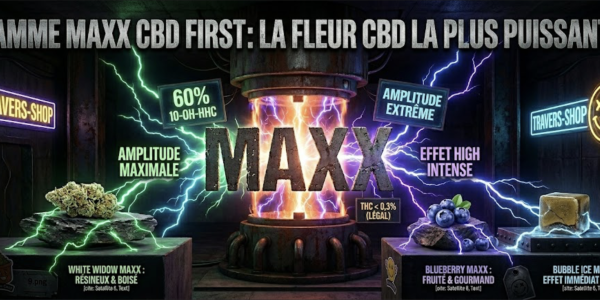 MAXX CBD First range: the most potent CBD flower!