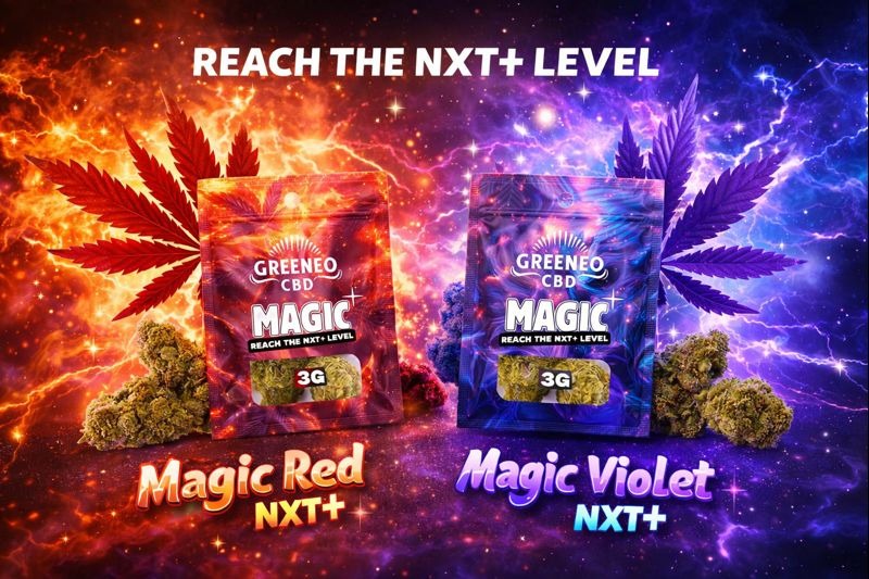 NXT+: the new molecule redefining CBD with Greeneo’s Magic range