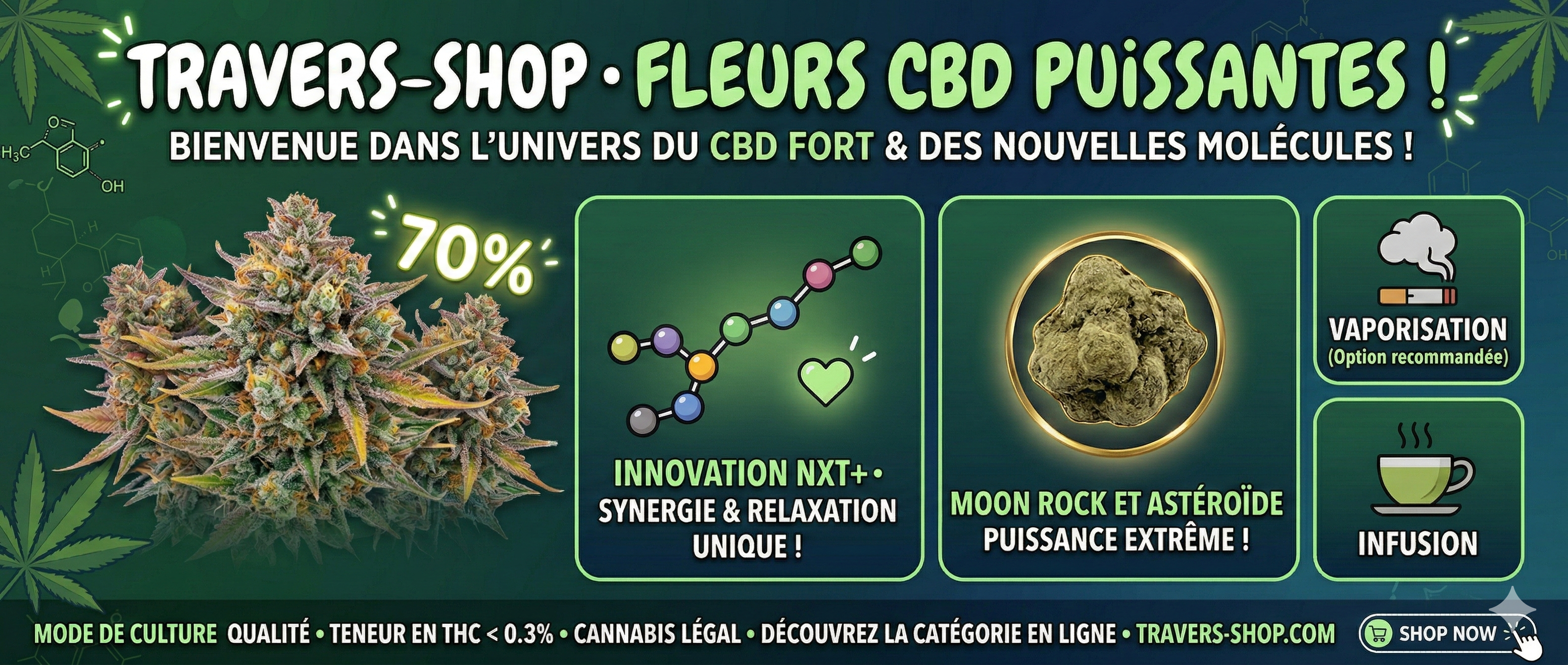 the world of potent CBD flowers at Travers-Shop