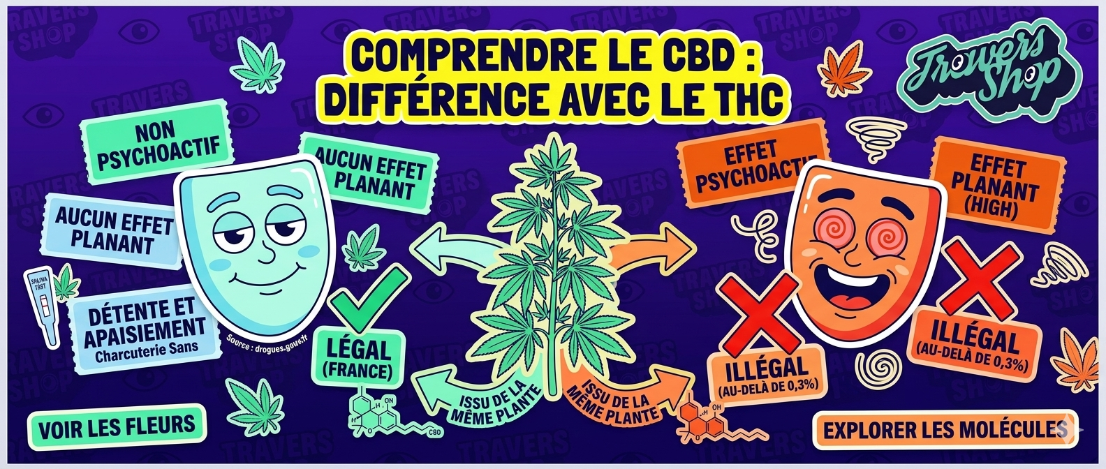 Understanding CBD: what it is, and how it differs from THC